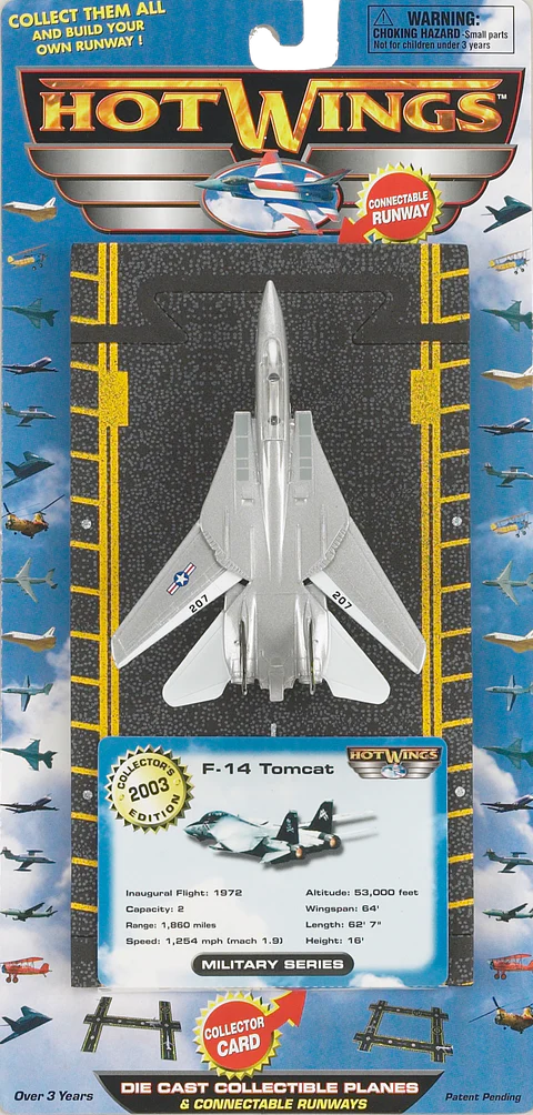 F-14 Tomcat Jolly Roger Hot Wing
