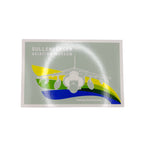 Seafoam Harrier SAM Postcard