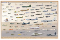 American Aviation Early 1903-1945