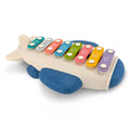 Airplane Xylophone Toy