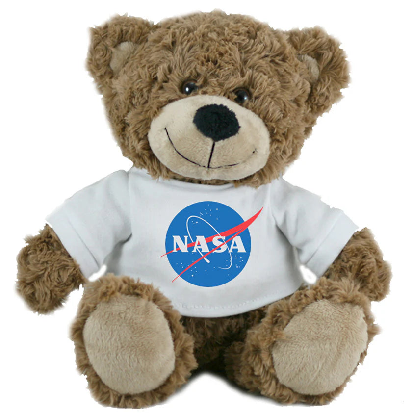 NASA Bear