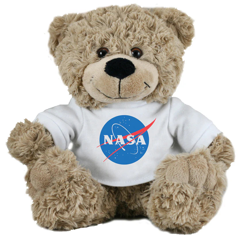 NASA Bear